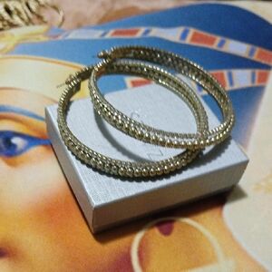 Elegant Gold Hoop Earrings